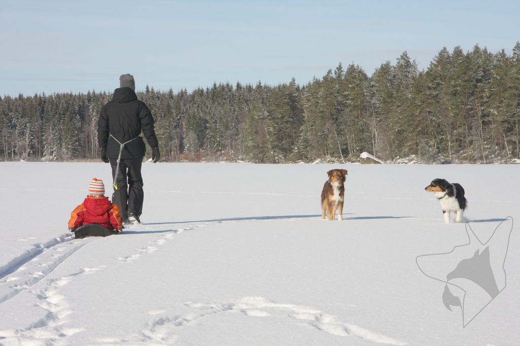 Tierarztpraxis am Fließtal in Berlin / Tegel